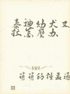 泰迪幼犬又吐又拉怎么办