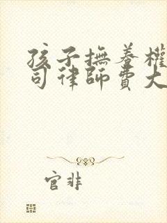 孩子抚养权打官司律师费大约多少钱封面