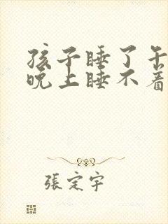 孩子睡了午觉就晚上睡不着封面