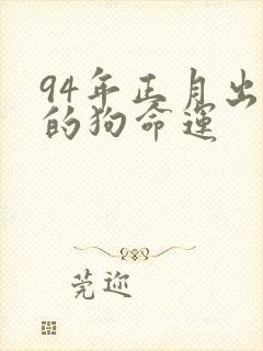 94年正月出生的狗命运封面