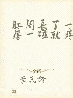 肛周长了一个疙瘩一碰就疼