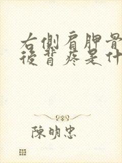 右侧肩胛骨下方后背疼是什么原因封面