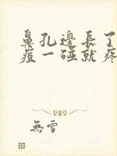 鼻孔边长了个痘痘一碰就疼