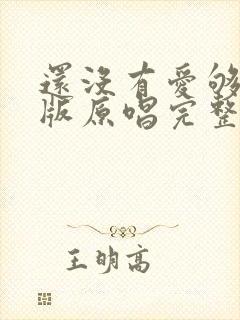 还没有爱够dj版原唱完整版封面