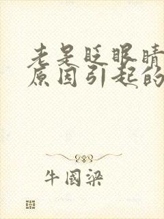 老是眨眼睛什么原因引起的