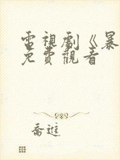 电视剧《暴风》免费观看