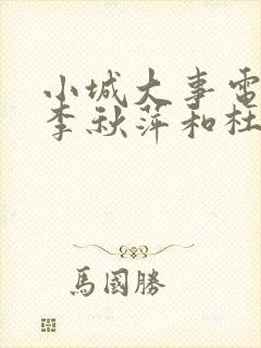 小城大事电视剧李秋萍和杜涛结局封面