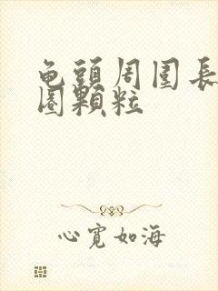 龟头周围长了一圈颗粒