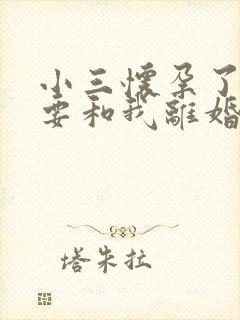 小三怀孕了老公要和我离婚我该怎么办