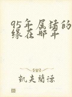 95年属猪的姻缘在哪年