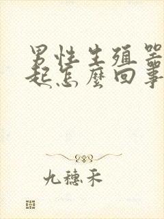 男性生殖器不勃起怎么回事