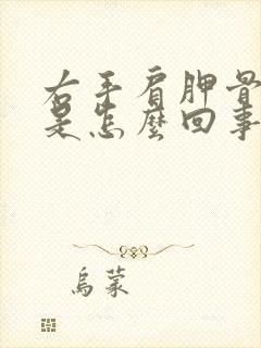 右手肩胛骨缝疼是怎么回事