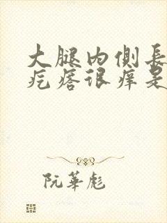 大腿内侧长红色疙瘩很痒是怎么回事