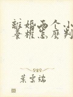 离婚两个小孩抚养权怎么判定