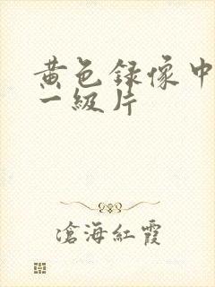 黄色录像中国的一级片封面