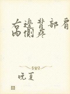 右边背部肩胛骨内侧疼