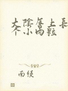 大阴唇上长了一个小肉粒