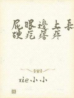 屁眼边上长一个硬疙瘩疼