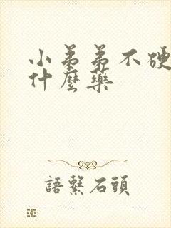 小弟弟不硬该吃什么药