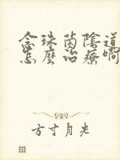 念珠菌阴道发炎怎么治疗啊