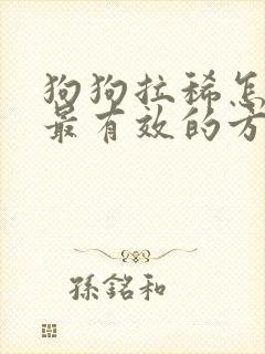 狗狗拉稀怎么办最有效的方法