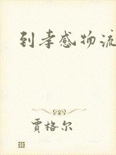 到孝感物流专线封面