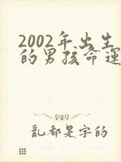 2002年出生的男孩命运