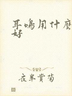 耳鸣用什么办法好