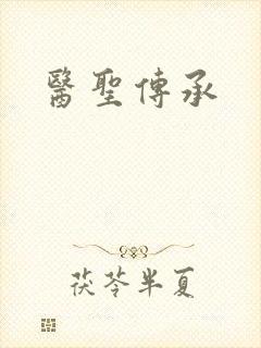 医圣传承封面