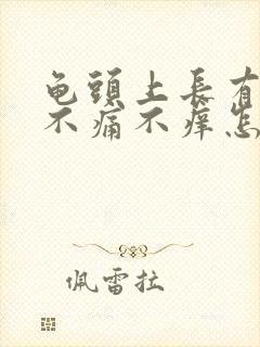 龟头上长有红点不痛不痒怎么回事封面