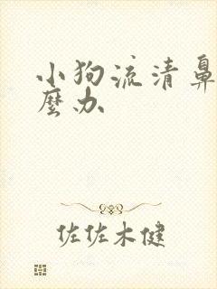 小狗流清鼻涕怎么办