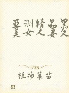 亚洲精品黑丝袜美女人妻久久封面