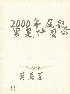 2000年属龙男是什么命运