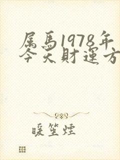 属马1978年今天财运方位