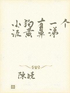 小狗有一个鼻孔流黄鼻涕