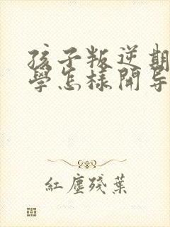 孩子叛逆期不上学怎样开导