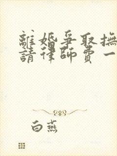 离婚争取抚养权请律师费一般是多少钱