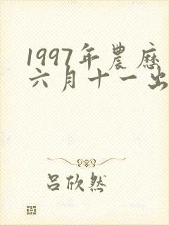 1997年农历六月十一出生命运