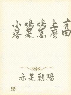 小鸡鸡上有小疙瘩是怎么回事封面