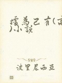 据为己有(高干)小说