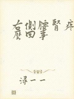 右侧腰肾疼是怎么回事封面