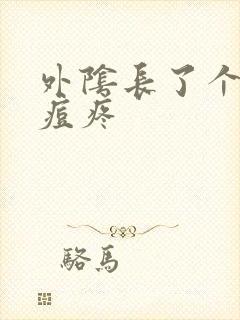 外阴长了个大痘痘疼