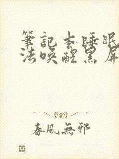 笔记本睡眠后无法唤醒黑屏怎么办