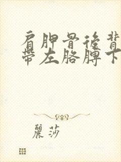 肩胛骨后背疼连带左胳膊下垂酸胀