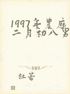 1997年农历二月初八男命