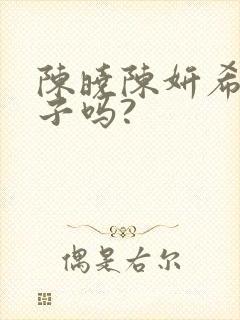 陈晓陈妍希有孩子吗?