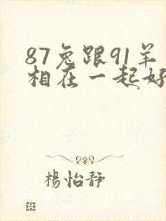 87兔跟91羊相在一起好不好