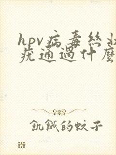 hpv病毒丝状疣通过什么途径感染