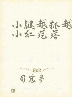 小腿越抓越痒有小红疙瘩