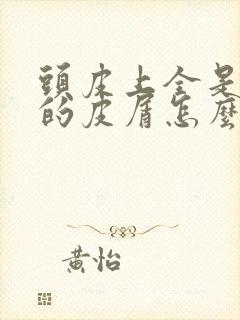 头皮上全是白色的皮屑怎么办